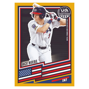 2026 Panini USA Stars & Stripes Prizm Baseball Hobby Box